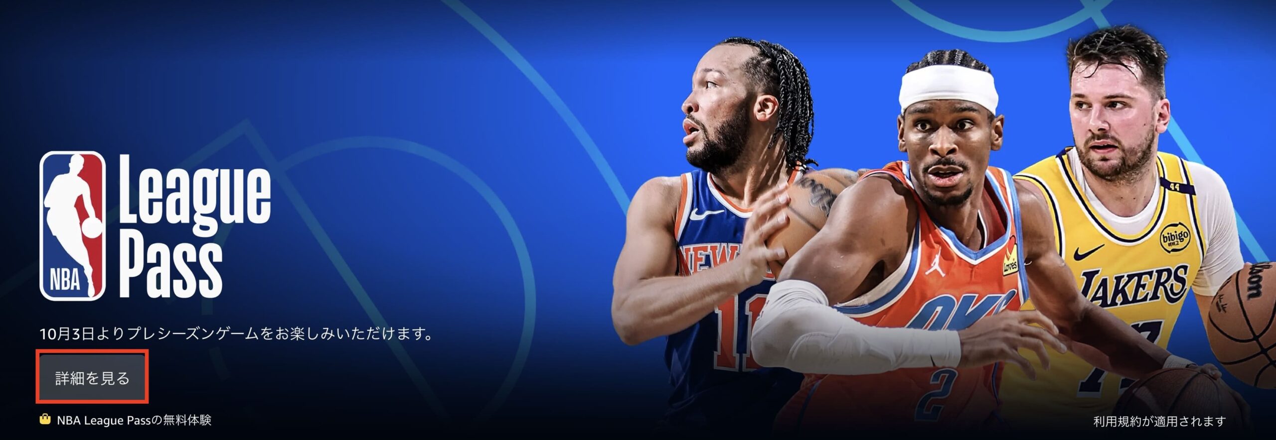 NBAリーグパス 購入方法